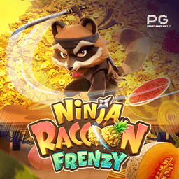 Ninja Raccoon Frenzy