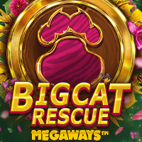 Big Cat Rescue Megaways DNT