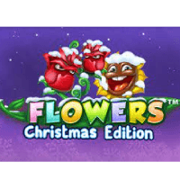 Flowers Christmas Edition DNT