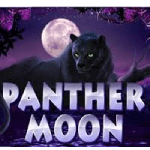 Panther Moon