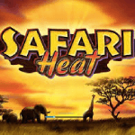 Safari Heat