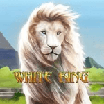 White King