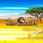 Wild Gambler