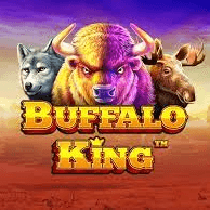 Buffalo King