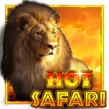 Hot Safari